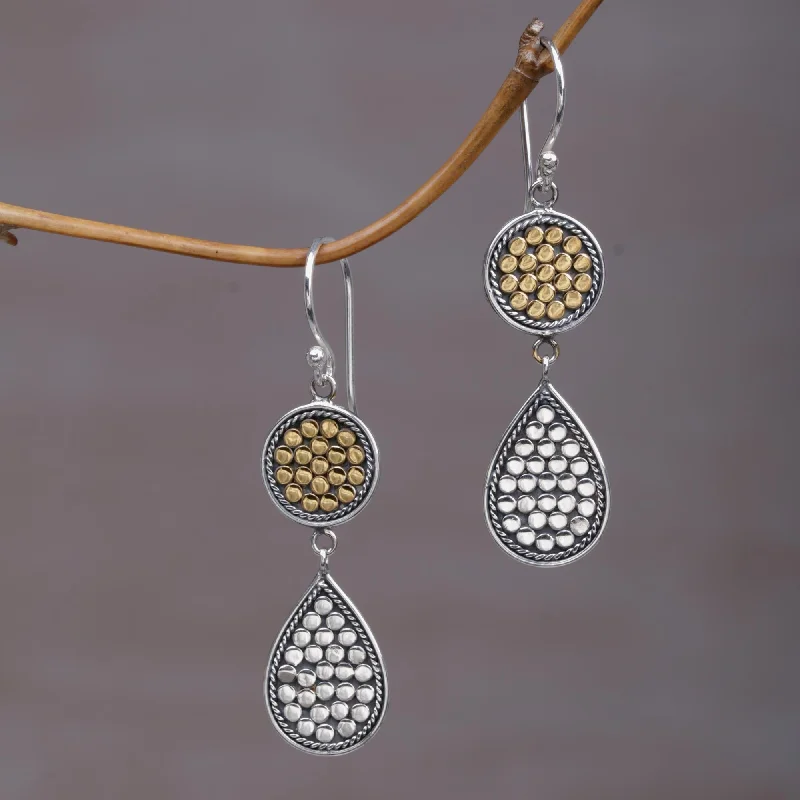 Fashion-Forward Jewelry At Incredible Prices Sunny Drops Gold and Sterling Silver Teardrop Dangle Earrings Indonesia